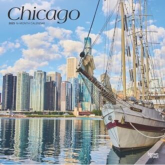Chicago 2025 12 X 24 Inch Monthly Square Wall Calendar Plastic-Free - Browntrout