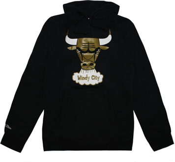 Chicago Bulls Gold Standard Heren Hoodie Zwart - M