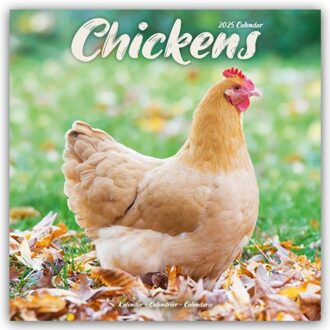 Chickens Calendar 2025 Square Farm Animals & Birds Wall Calendar - 16 Month - Browntrout Wandkalender - Avonside Publishing Ltd