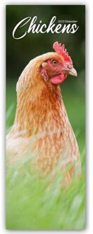 Chickens Slim Calendar 2025 Bird Slimline Calendar - 12 Month - Slimline-Kalender (Browntrout) - Avonside Publishing Ltd