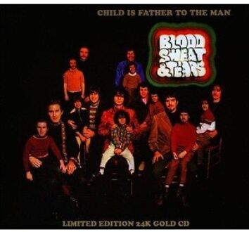 Child Is Father To The Man - Sweat Blood & Tears