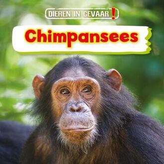 Chimpansees