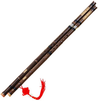 Chinese bamboo Xiao musical instruments flute copper two sections professional 8 holes Vertically flauta xiao G, F tune key