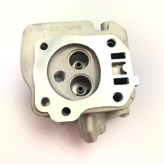 Chinese Cilinderkop Voor Coleman CT200U Mini Bike