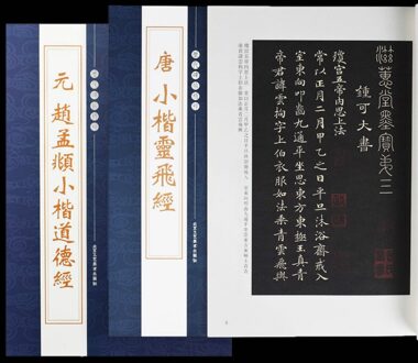 Chinese Kalligrafie Boek 2 Stks/set Chinese Reguliere Script Borstel Kalligrafie Praktijk Schrift Een Wrijven Van Een Steen Inscriptie