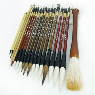 Chinese Schilderen Schrijven Borstel Set Professionele Nauwgezet Schilderen Freehand Bloem en Vogel Schilderij Aquarel Kalligrafie Pen