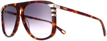 Chloe Chloe CH0104S 007 glanzend medium havana grijs gradiënt zonnebril Bruin - One Size