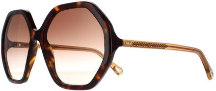 Chloe Chloe Round Dames Dark Havana en Bruin Crystal Bruin Gradient Ch0008s Esther