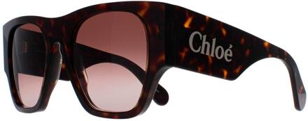 Chloe Chloe Square Dames Donker Havana Bruin Gradient CH0233S - One Size