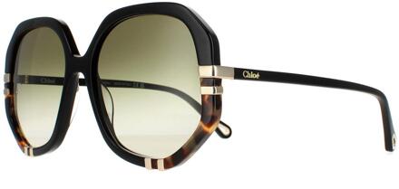 Chloe Chloe Square dames glanzende zwarte en schildpad groene gradiënt CH0105S - One Size