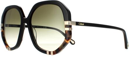 Chloe Chloe Square dames glanzende zwarte en schildpad groene gradiënt CH0105S