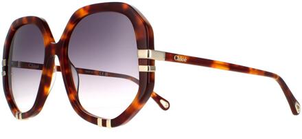 Chloe Chloe zonnebril CH0105S 004 Tortoise grijze gradiënt Bruin