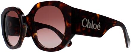 Chloe Ronde Dames Donker Havana Bruin Gradiënt CH0234S - One Size