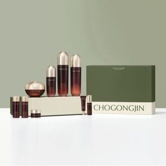 Chogongjin Youngan Skin Care 10 pcs Set 10 pcs