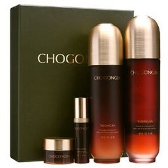 Chogongjin Youngan Skin Care 4 pcs Set 4 pcs