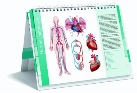 Cholesterol - Boek Esculaap Media B.V. (9491984128)