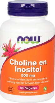 Choline en Inositol 500 mg - 100 Capsules