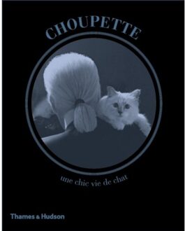 Choupette : the Private Life of a High-Flying Fashion Cat