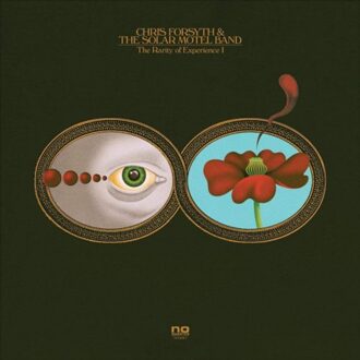 Chris Forsyth - The Rarity Of Experience