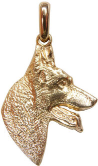 Christian Gouden hond Geel Goud - One size