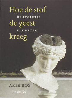 Christofoor, Uitgeverij Hoe de stof de geest kreeg - Boek Auke Bos (906238854X)