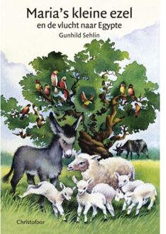 Christofoor, Uitgeverij Maria's kleine ezel en de vlucht naar Egypte - Boek Gunhild Sehlin (9062382126)