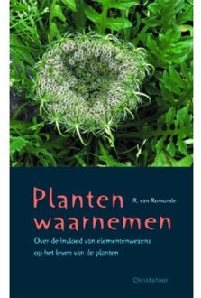 Christofoor, Uitgeverij Planten waarnemen - Boek R. van Romunde (9060386027)