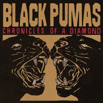 Chronicles Of A Diamond - Black Pumas