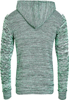 Chunky gebreide jas met capuchon met volledige rits Groen