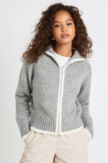 Chunky Gebreide Trui Met Ritssluiting, Grey - S