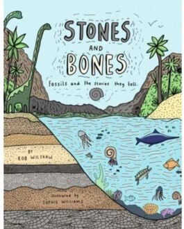 Cicada Books Stones And Bones: Fossils And The Stories They Tell - Rob Wilshaw