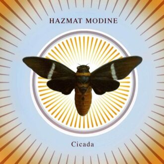 Cicada