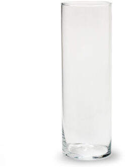 Cilinder bloemenvaas Jodeco - transparant glas - D10 x H30 cm - boeket - losse bloemen en takken