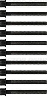 Cilinderkopboutset (10 ST.) 143205101