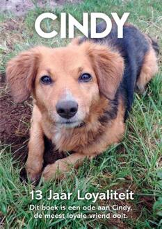 Cindy - 13 Jaar Loyaliteit -  Bastiaan Bloemendal (ISBN: 9789465118116)