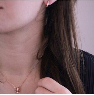 Circle Hoop Sets - Oostenrijks kristal Wit en roségoud - One Size