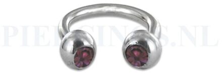 Circulair barbell 1.2 mm paars 6 mm