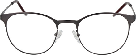 Citizen Brilframe CTZ1901 151 49 Metallic