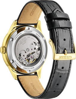 Citizen Heren Horloge Zwart NY4059-09AC