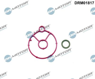 Citroen Afdichtingsset, oliekoeler DRM01817