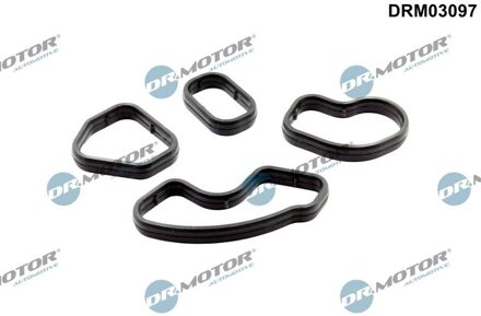 Citroen Afdichtingsset, oliekoeler DRM03097