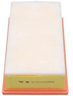 Citroen AMC Filter Lucht TA1713