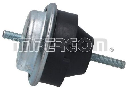 Citroen Aslichaam-/motorsteunlager 36308