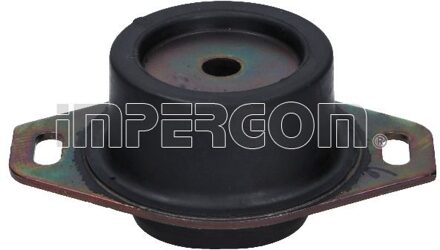 Citroen Aslichaam-/motorsteunlager 36311