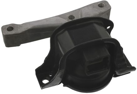 Citroen Aslichaam-/Motorsteunlager