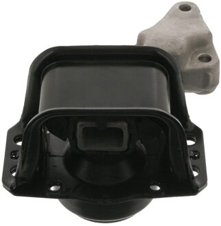 Citroen Aslichaam-/Motorsteunlager