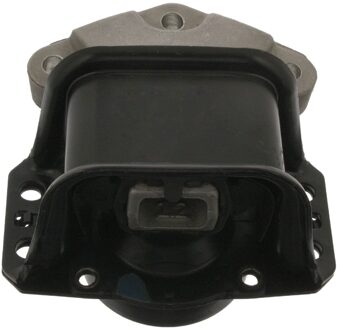 Citroen Aslichaam-/Motorsteunlager