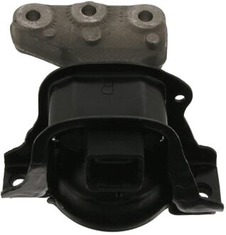 Citroen Aslichaam-/Motorsteunlager