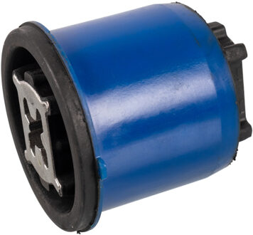 Citroen aslichaamlager