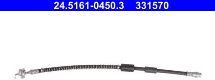 Citroen Ate Remslang 24516104503